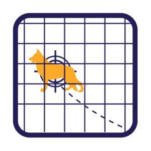 RICERCA-ANIMALI-SMARRITI-monitoraggio